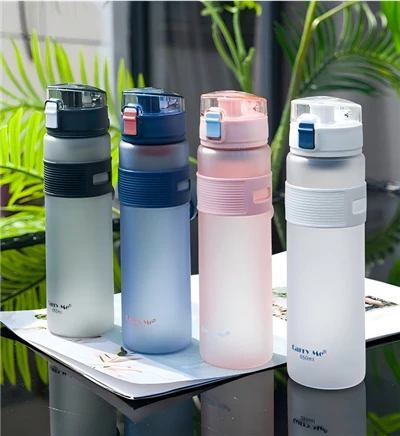 Portable Water Bottle With Matte Finish